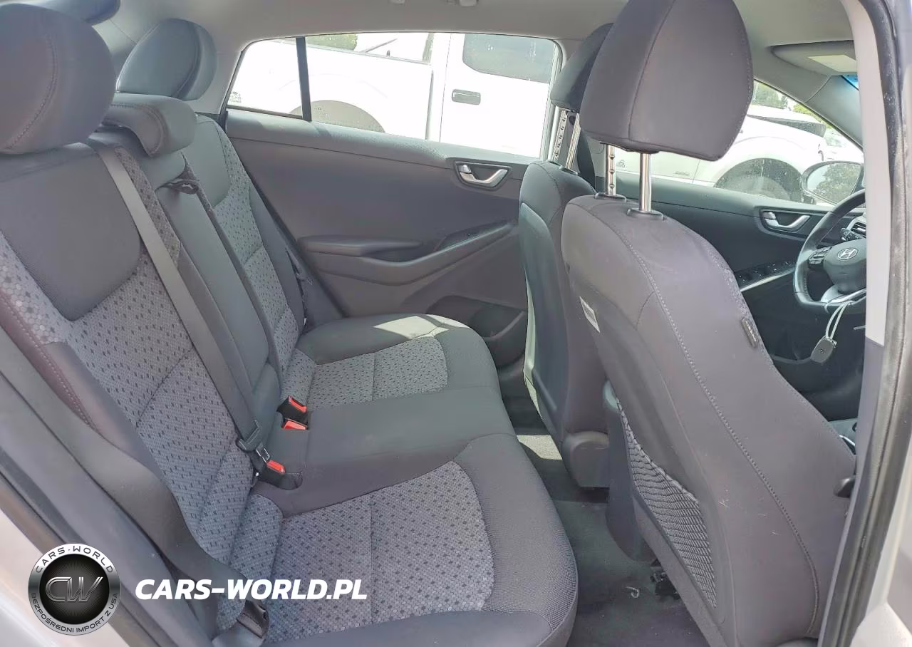 2017 Hyundai Ioniq Sel VIN:KMHC75LC0HU049503 - 10