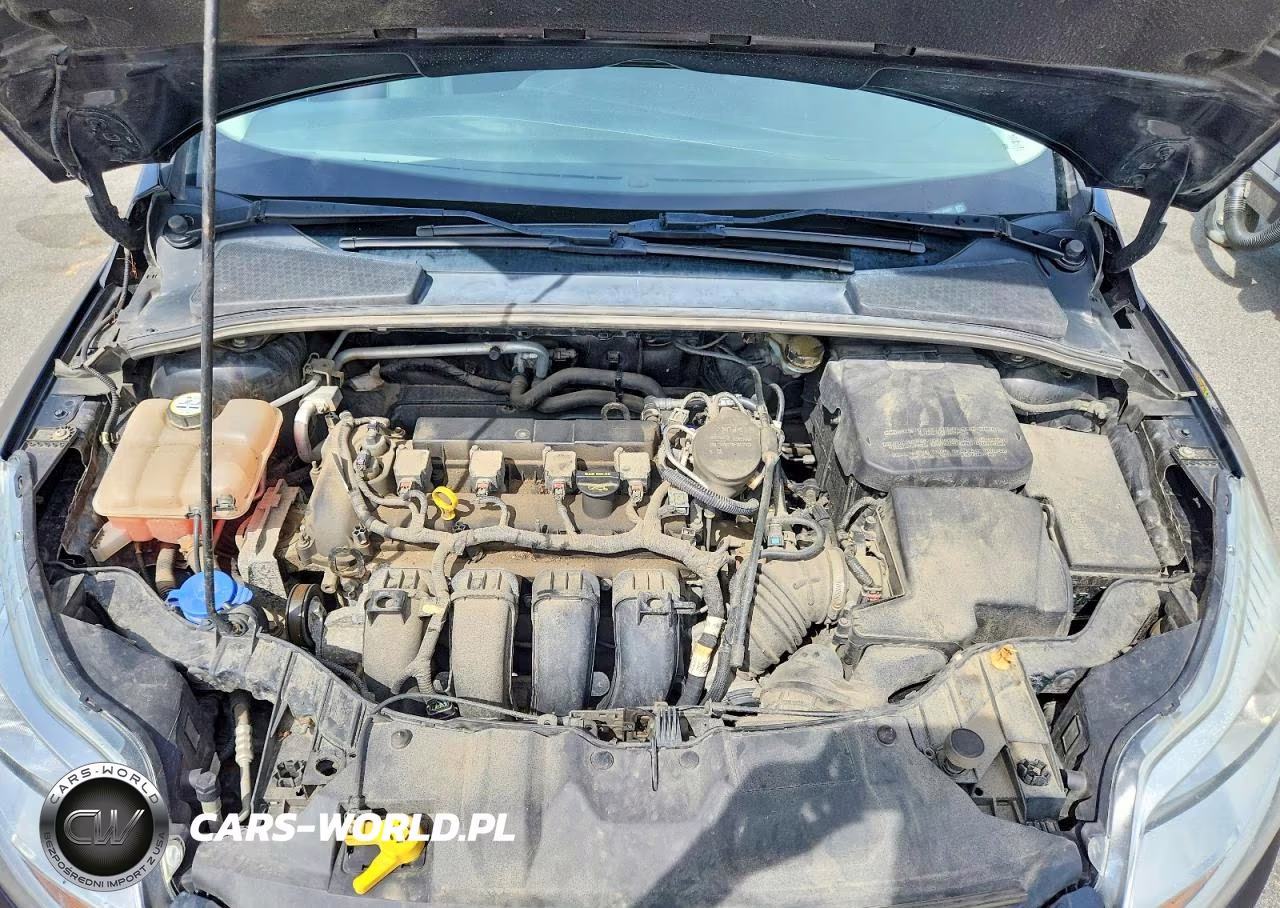 2013 Ford Focus Se VIN:1FADP3F29DL348381 - 11