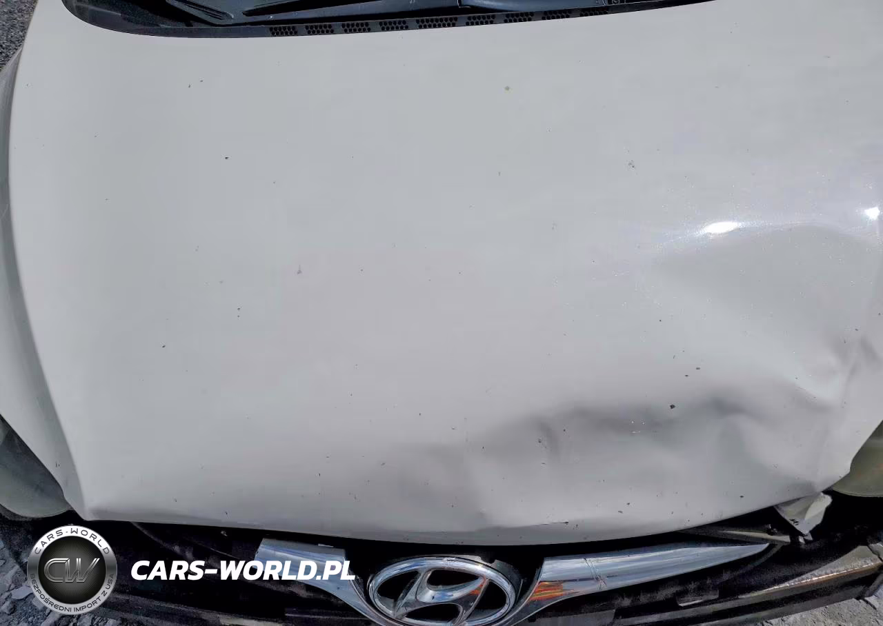 2016 Hyundai Elantra Se VIN:5NPDH4AEXGH665111 - 11