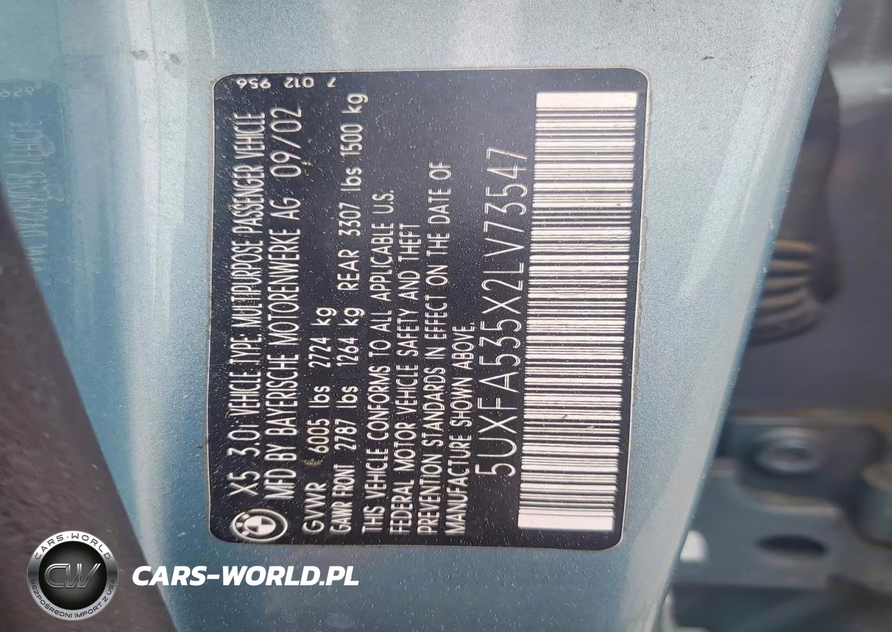 2002 BMW X5 3.0I VIN:5UXFA535X2LV73547 - 13