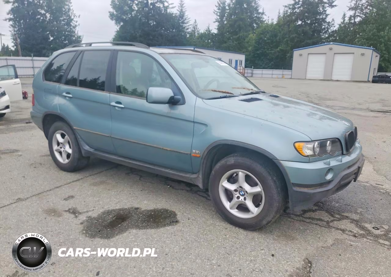 2002 BMW X5 3.0I VIN:5UXFA535X2LV73547 - 4
