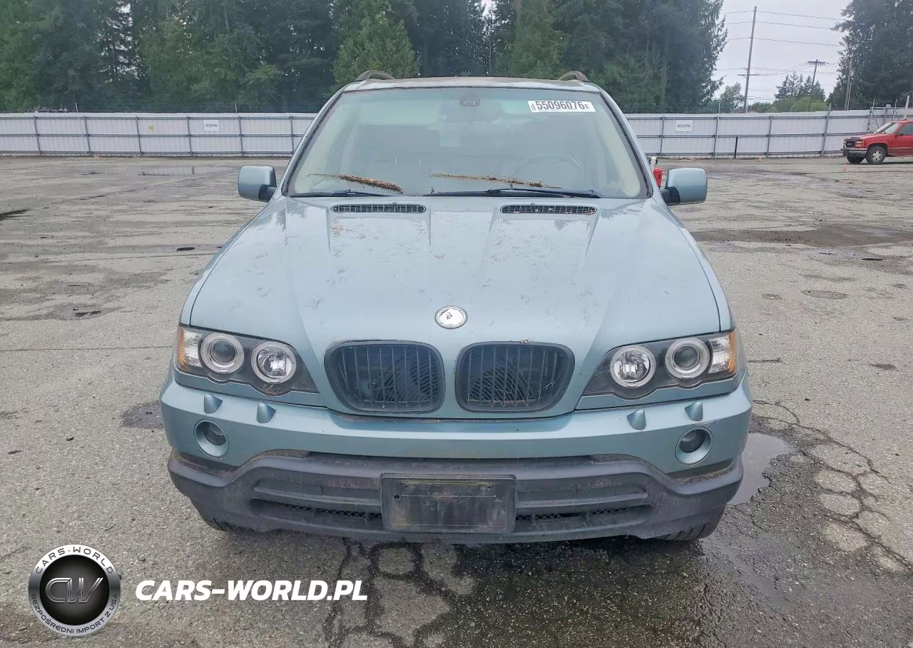 2002 BMW X5 3.0I VIN:5UXFA535X2LV73547 - 5