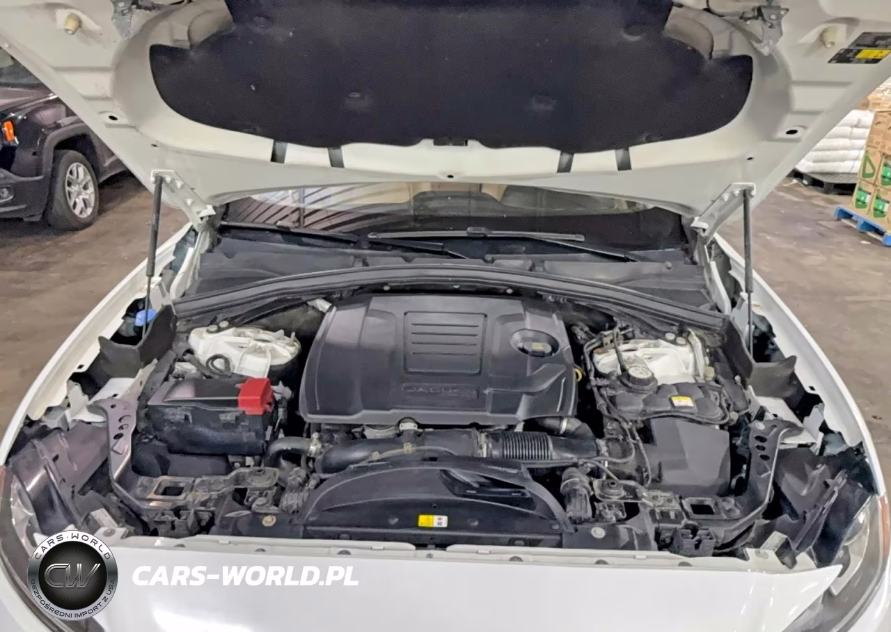 2019 Jaguar F-Pace Premium VIN:SADCJ2FX5KA364541 - 7