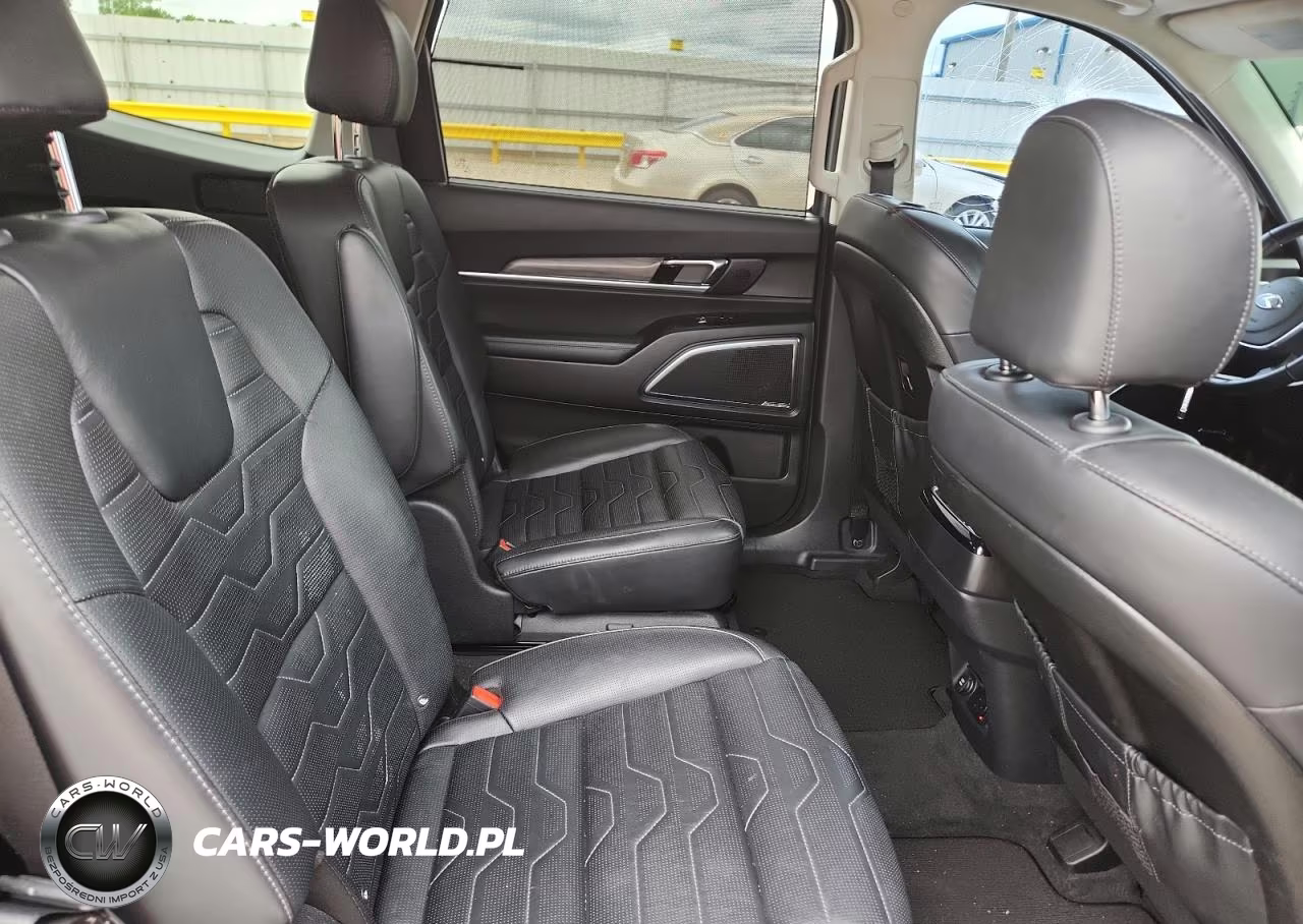 2020 Kia Telluride Sx VIN:5XYP5DHCXLG073669 - 11