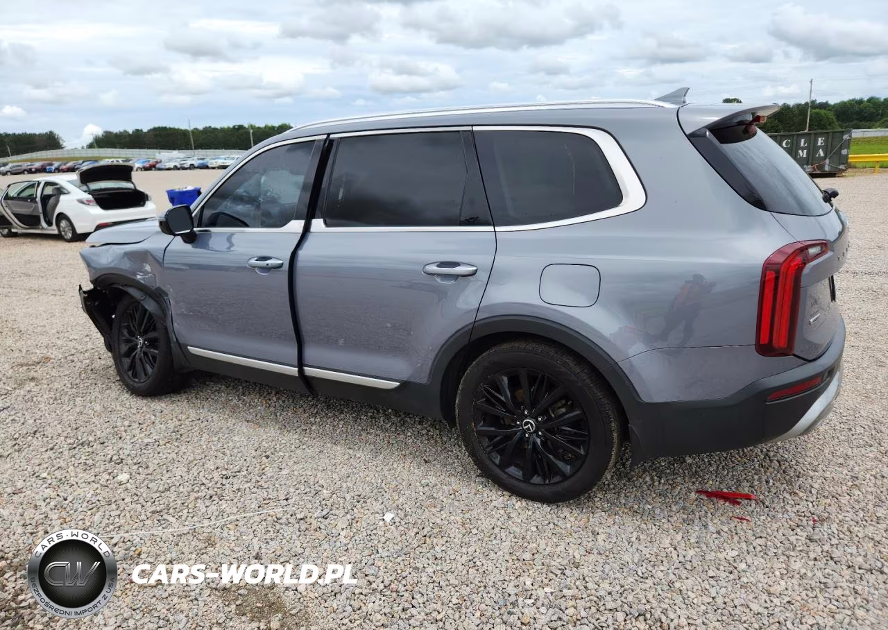 2020 Kia Telluride Sx VIN:5XYP5DHCXLG073669 - 2