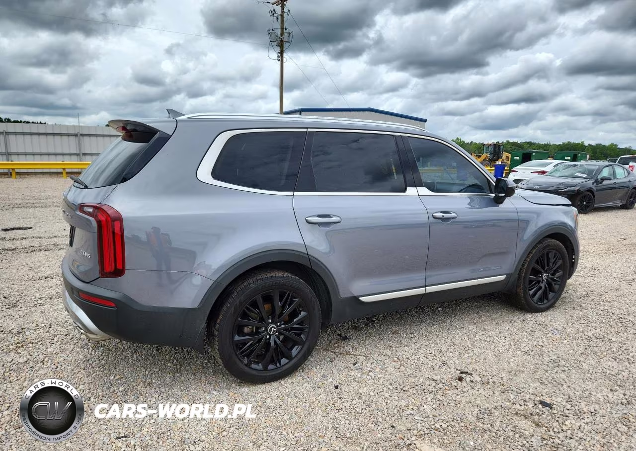 2020 Kia Telluride Sx VIN:5XYP5DHCXLG073669 - 3