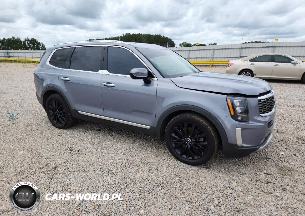 2020 Kia Telluride Sx VIN:5XYP5DHCXLG073669 - 4