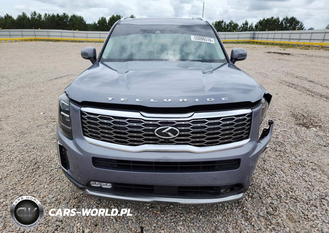2020 Kia Telluride Sx VIN:5XYP5DHCXLG073669 - 5
