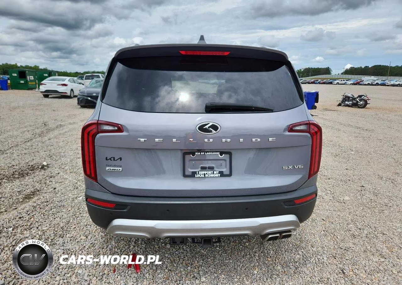 2020 Kia Telluride Sx VIN:5XYP5DHCXLG073669 - 6