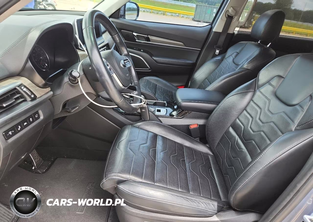 2020 Kia Telluride Sx VIN:5XYP5DHCXLG073669 - 7