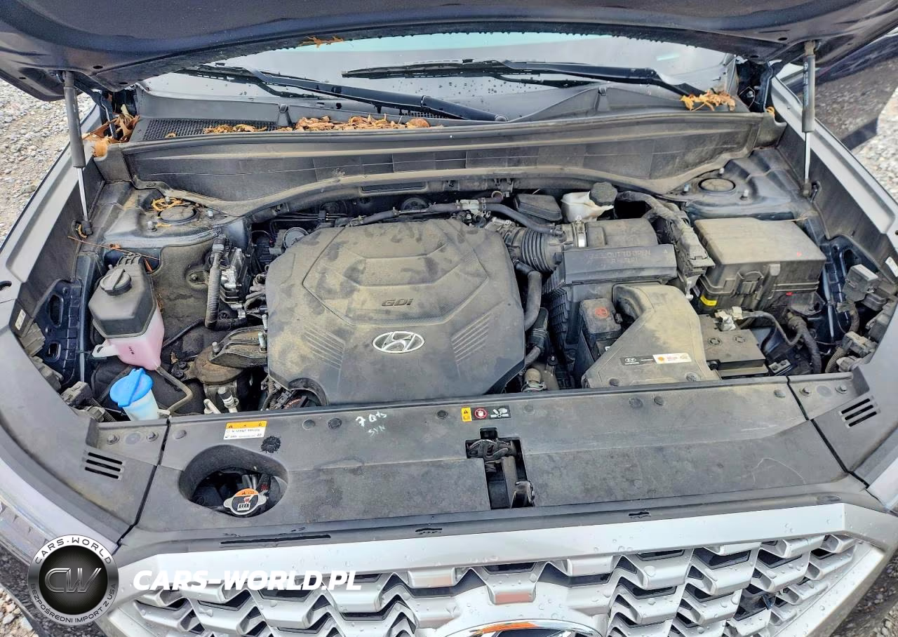 2021 Hyundai Palisade Sel VIN:KM8R4DHE2MU263880 - 12