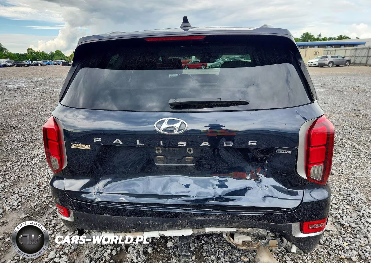 2021 Hyundai Palisade Sel VIN:KM8R4DHE2MU263880 - 6