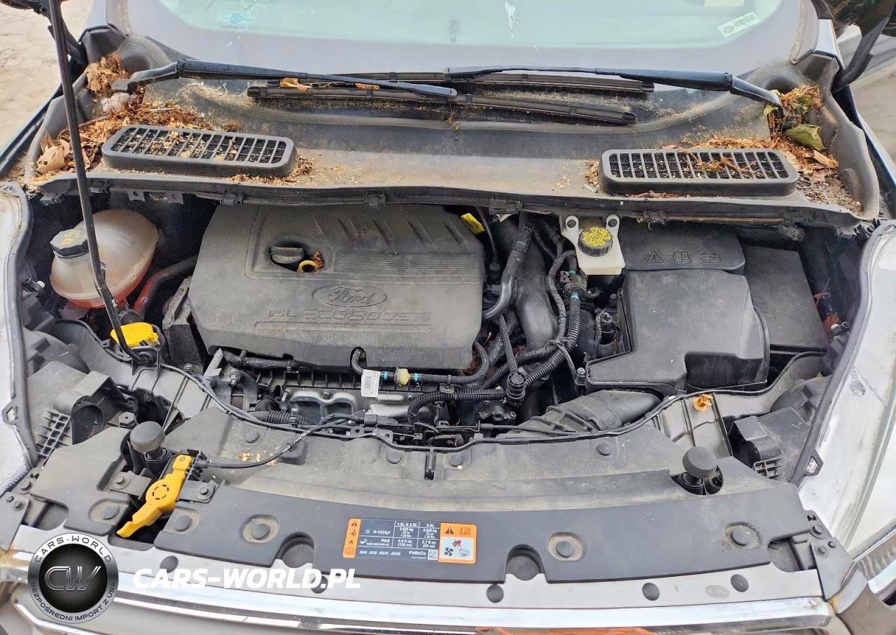 2018 Ford Escape Se VIN:1FMCU0GD6JUD35702 - 12
