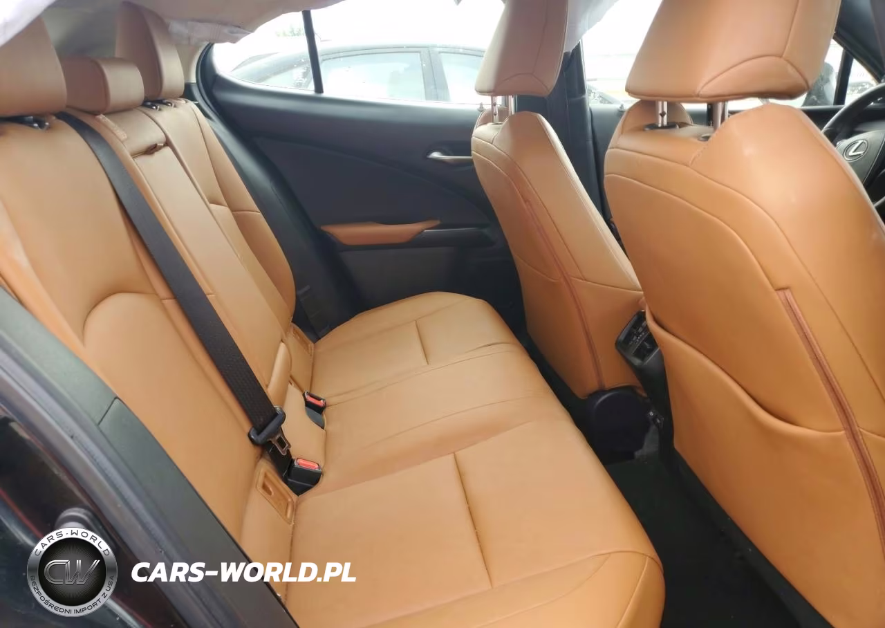 2021 Lexus Ux 250H VIN:JTHP9JBH4M2039616 - 10