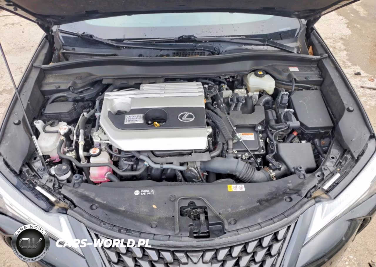 2021 Lexus Ux 250H VIN:JTHP9JBH4M2039616 - 11
