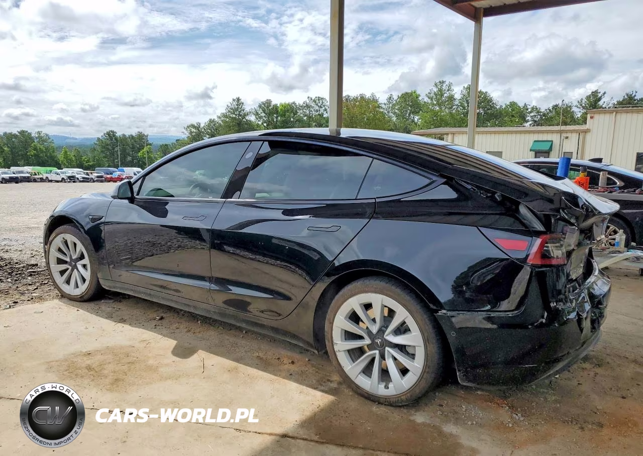 2021 Tesla Model 3 VIN:5YJ3E1EA3MF095862 - 2