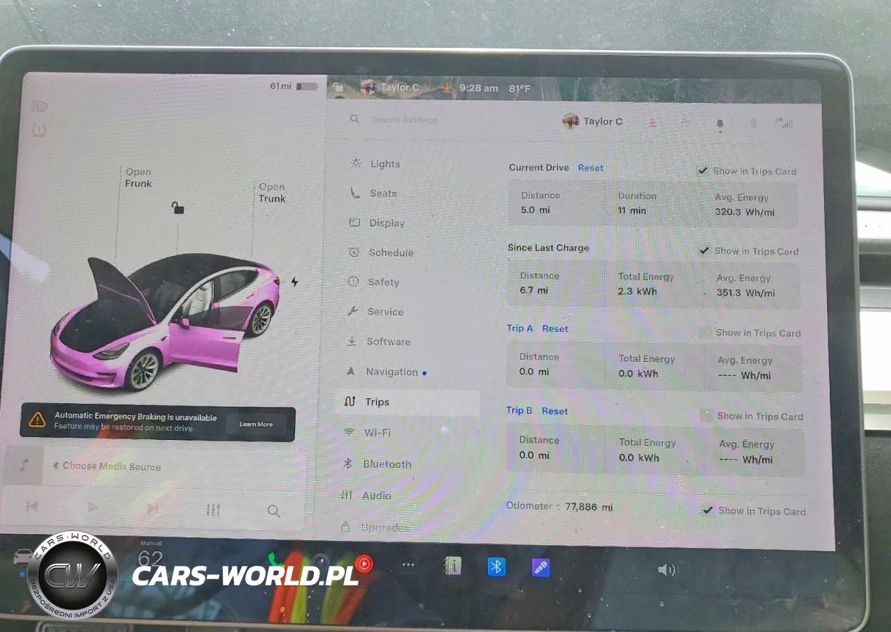 2021 Tesla Model 3 VIN:5YJ3E1EA3MF095862 - 9