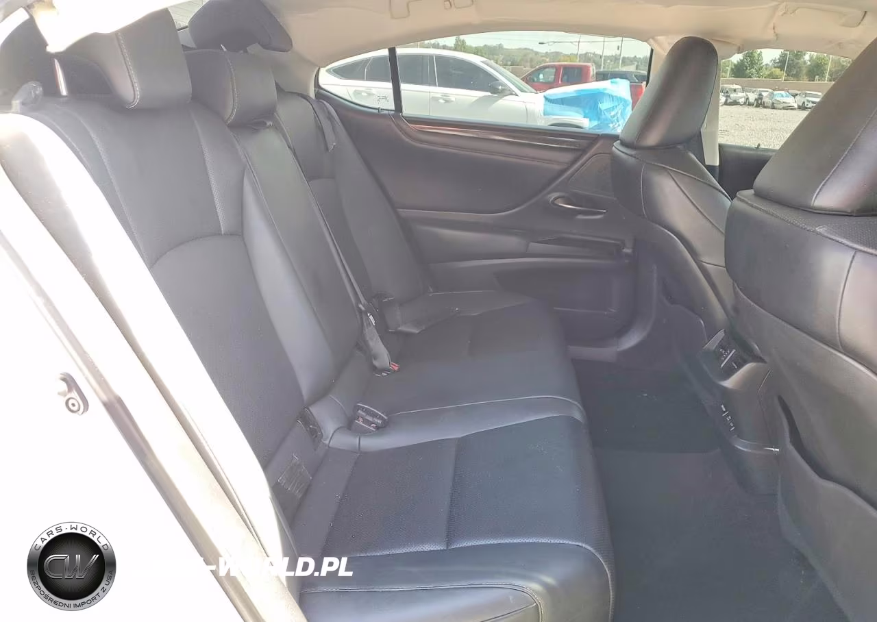2020 Lexus Es 350 VIN:58ADZ1B1XLU070562 - 10