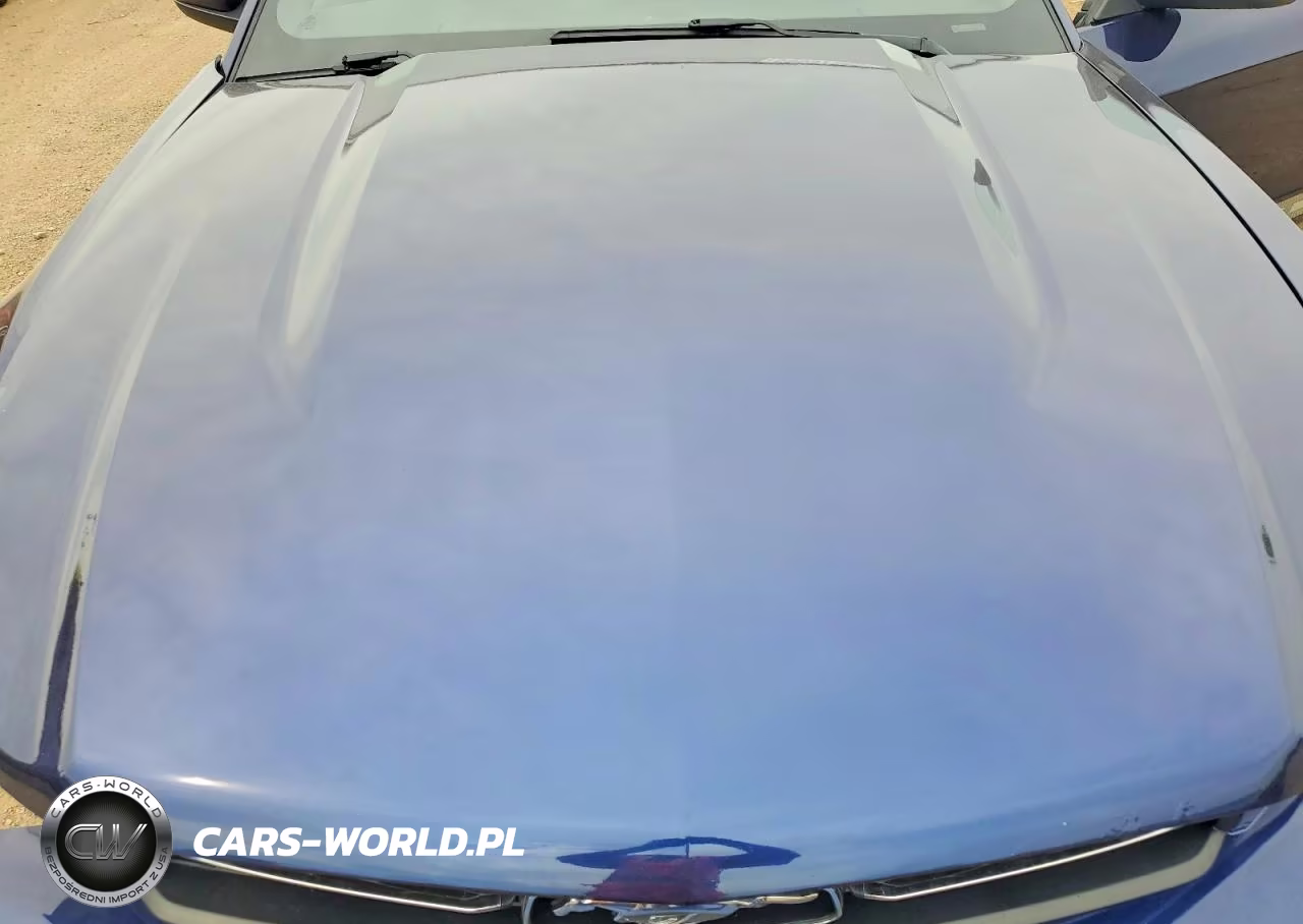 2012 Ford Mustang VIN:1ZVBP8AMXC5263248 - 11