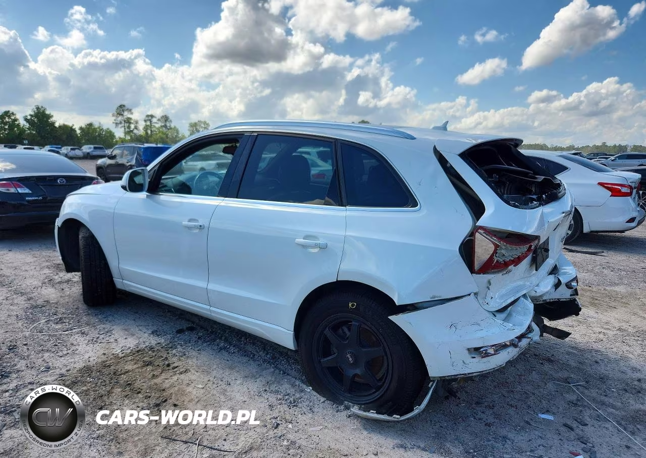2011 Audi Q5 Premium Plus VIN:WA1LFAFP0BA058803 - 2