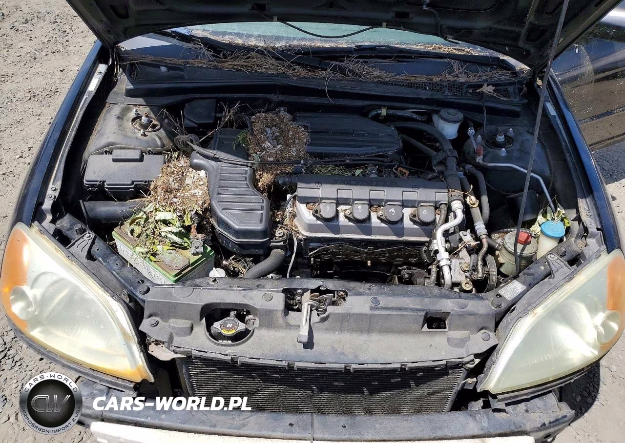 2002 Honda Civic Lx VIN:2HGES16572H604136 - 11