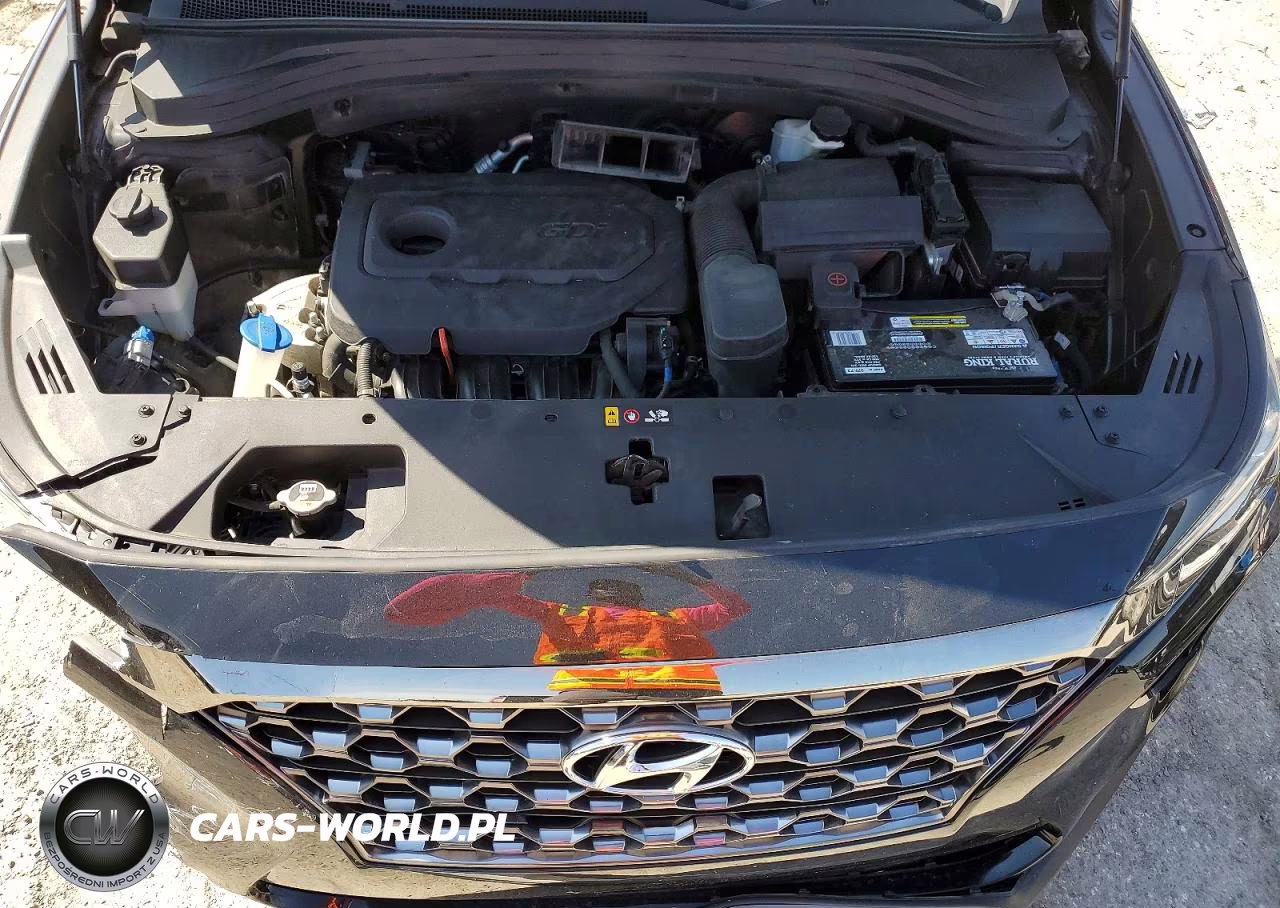 2019 Hyundai Santa Fe Sel Plus 2.4L VIN:5NMS33AD4KH110989 - 12