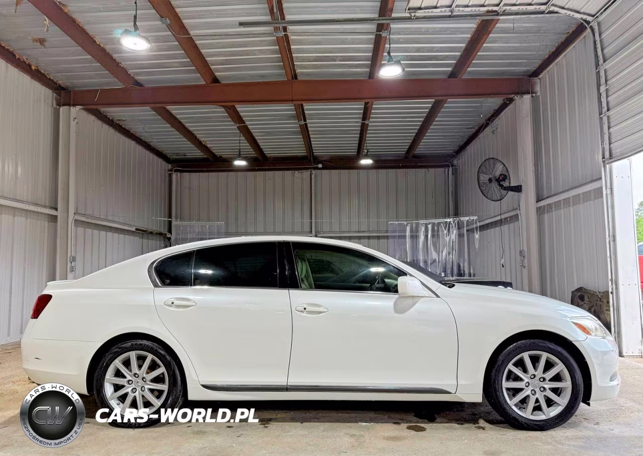 2006 Lexus Gs 300 VIN:JTHBH96S665034646 - 12