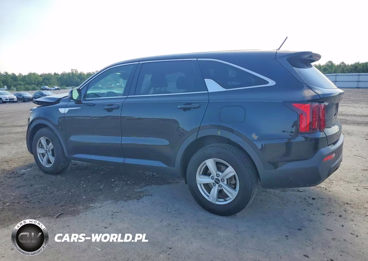 2022 Kia Sorento VIN:5XYRG4LC2NG142335 - 2