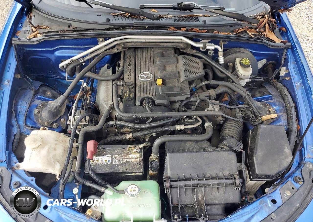 2006 Mazda Mx-5 Miata VIN:JM1NC25F760111031 - 11