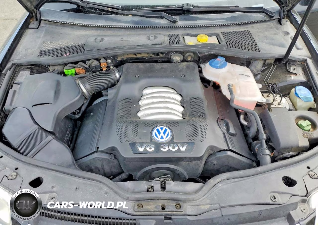 2003 Volkswagen Passat Glx VIN:WVWRH63B93P035843 - 11