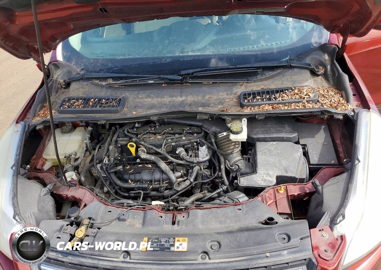 2014 Ford Escape Se VIN:1FMCU0GX9EUB43609 - 12
