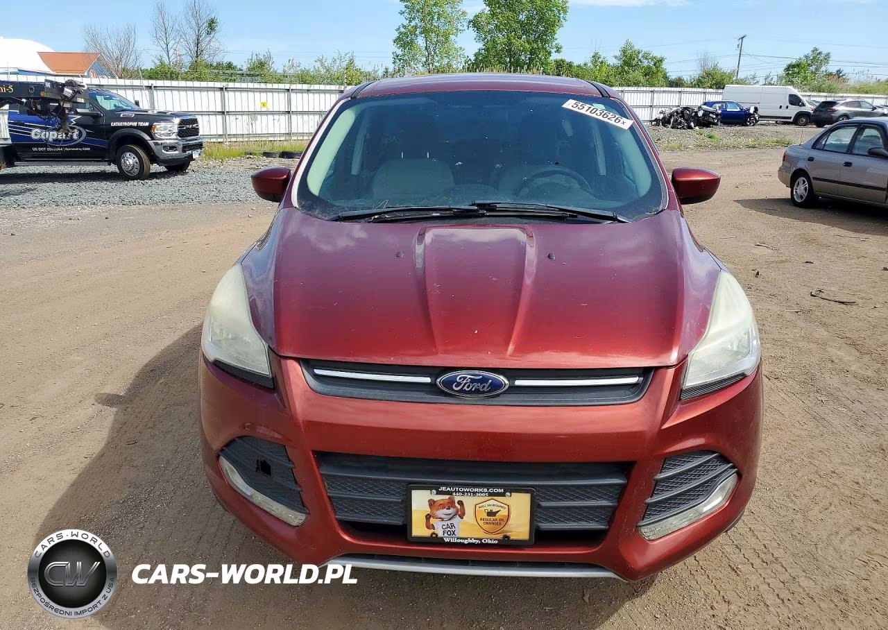 2014 Ford Escape Se VIN:1FMCU0GX9EUB43609 - 5