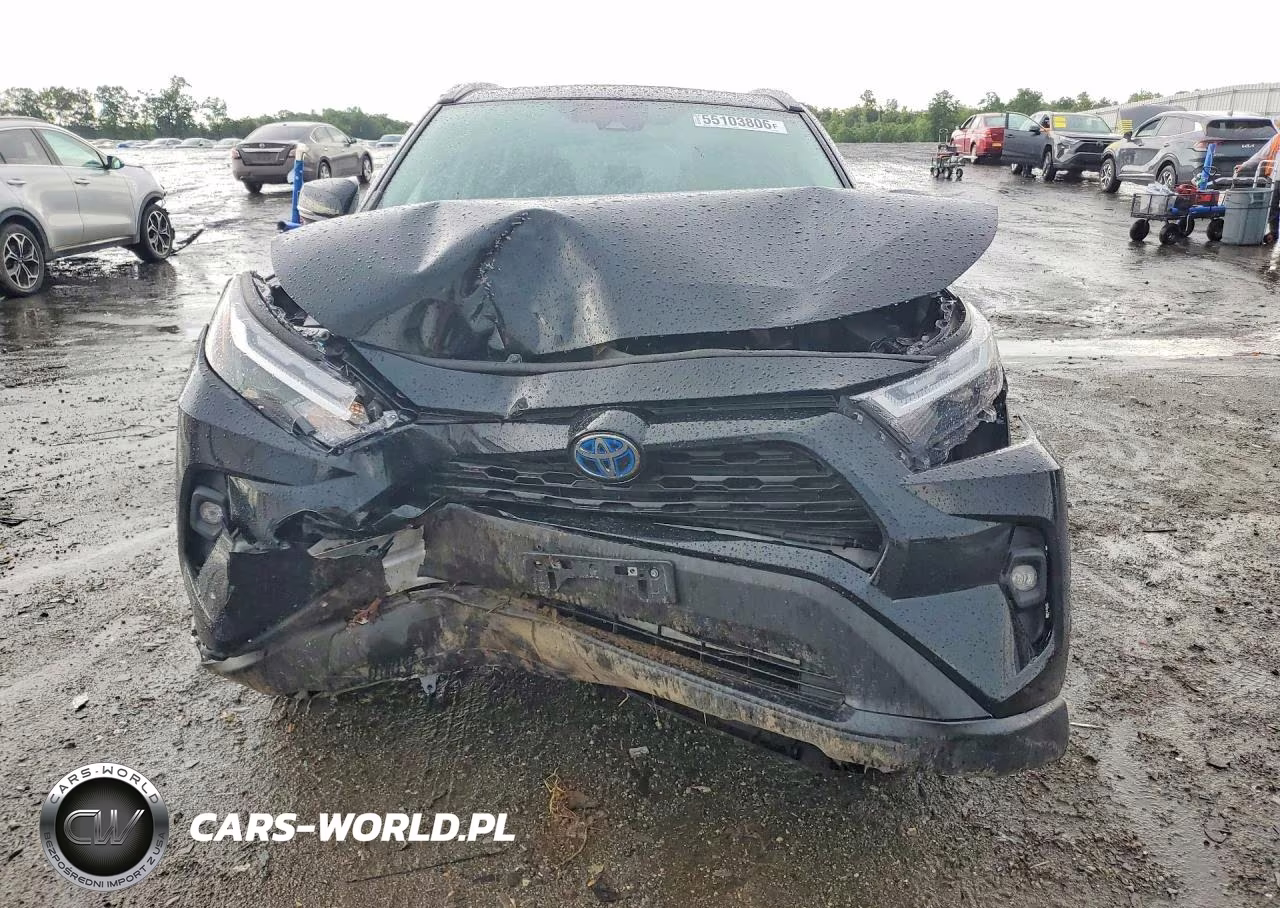 2024 Toyota Rav4 Xle Premium VIN:2T3B6RFV5RW074585 - 5