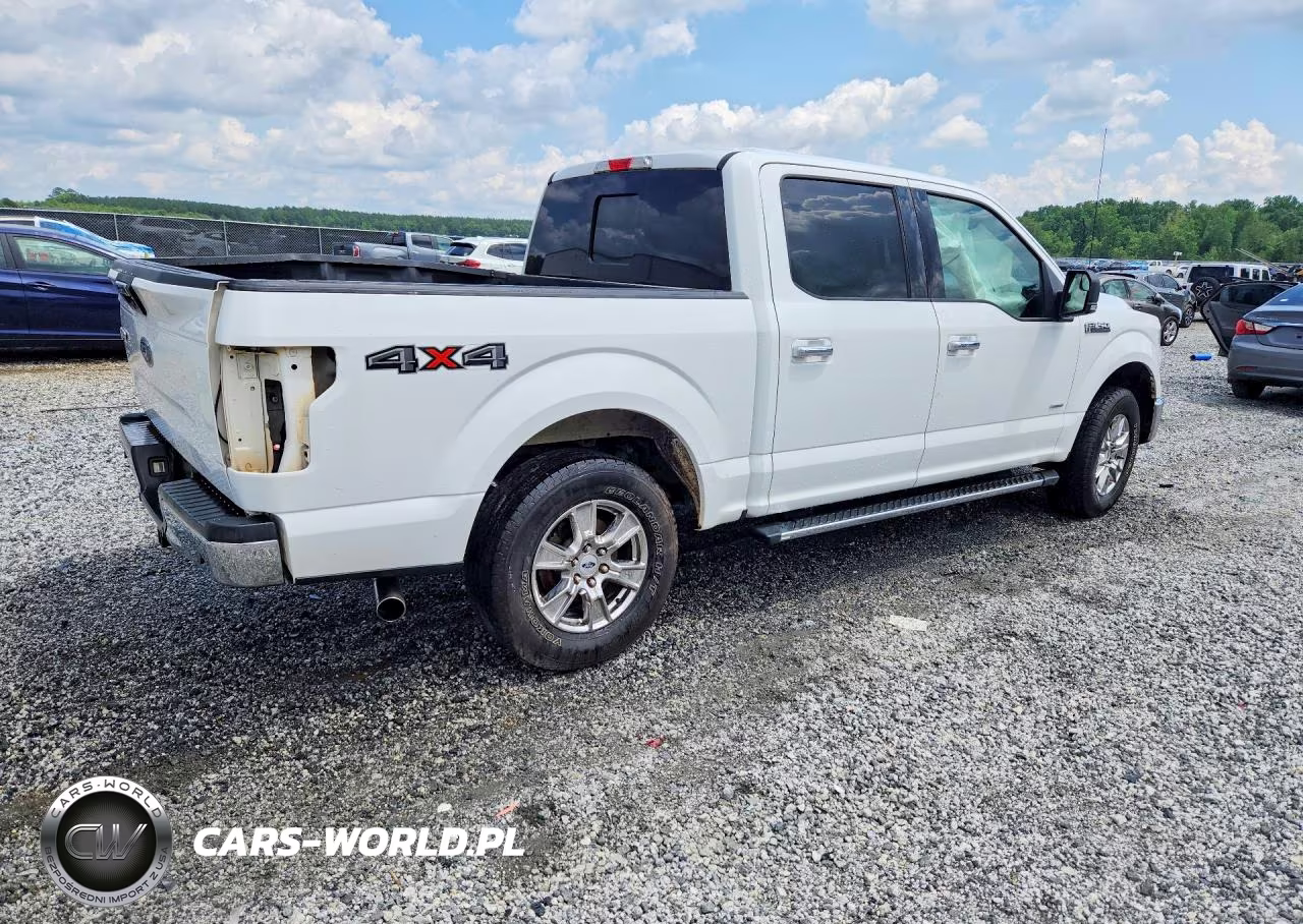 2017 Ford F150 Supercrew VIN:1FTEW1EP5HFA93364 - 3