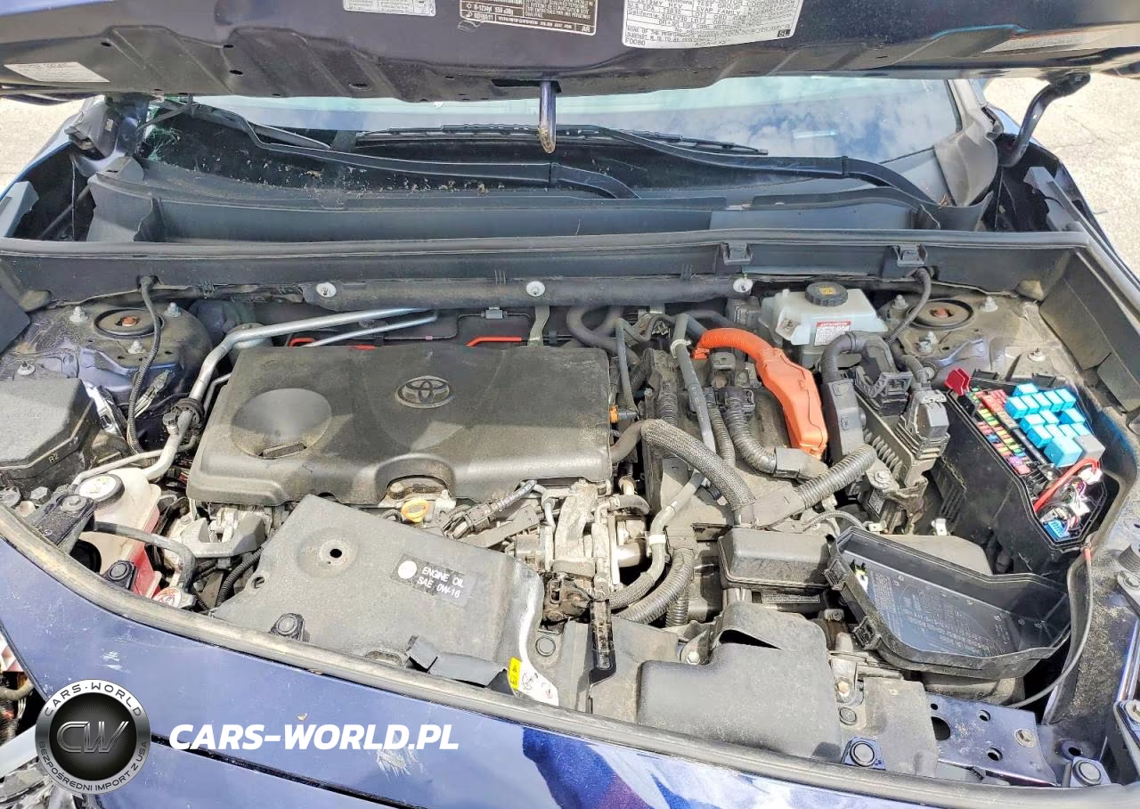 2019 Toyota Rav4 Xse VIN:2T3EWRFV4KW035425 - 12