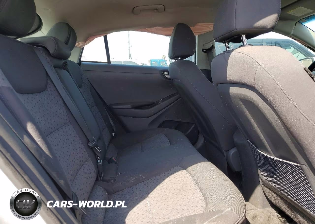 2019 Hyundai Ioniq VIN:KMHC65LD4KU111746 - 10