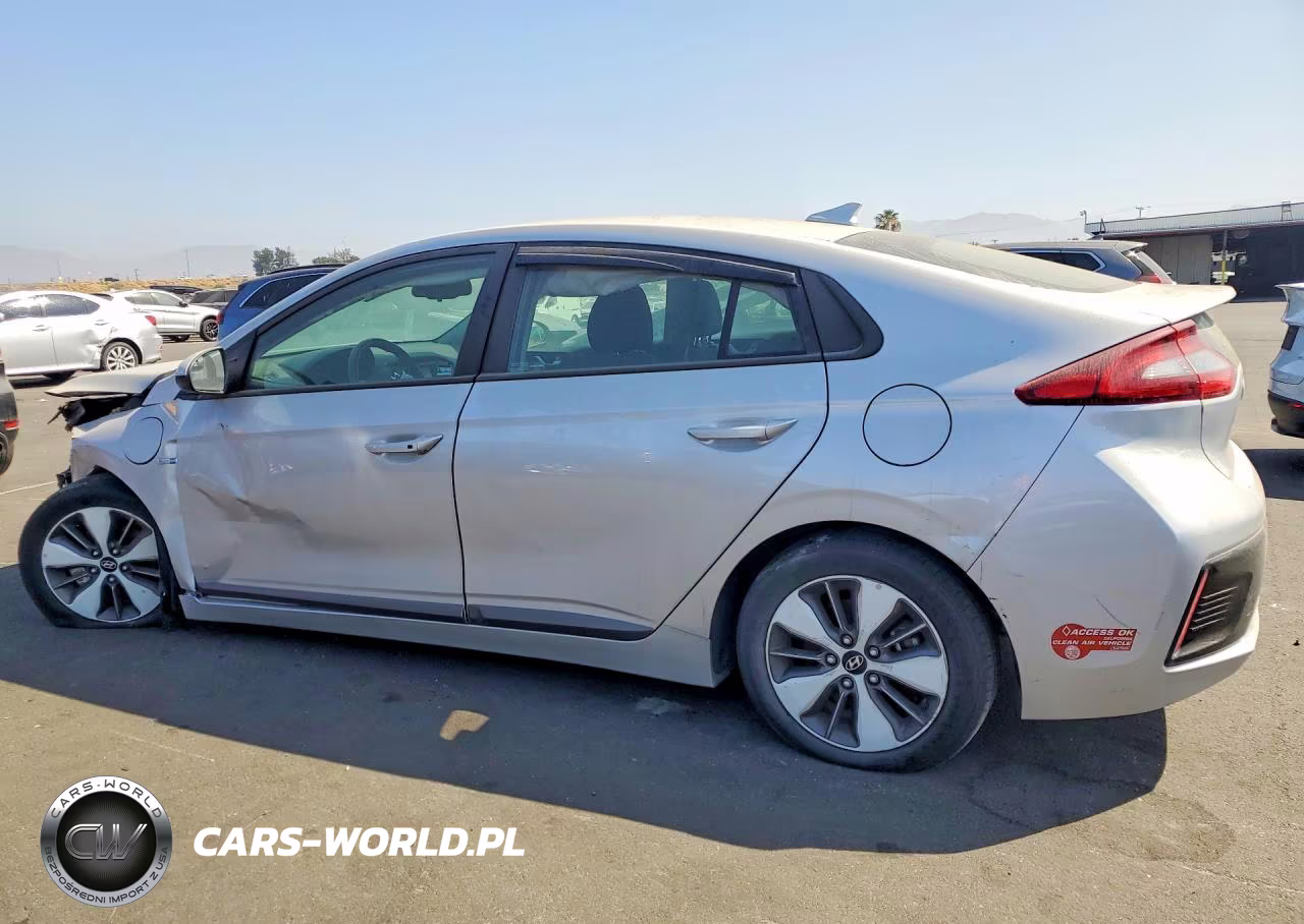 2019 Hyundai Ioniq VIN:KMHC65LD4KU111746 - 2