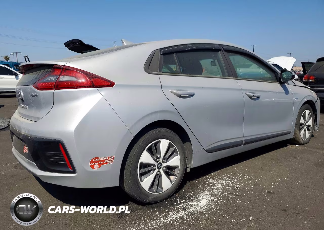 2019 Hyundai Ioniq VIN:KMHC65LD4KU111746 - 3