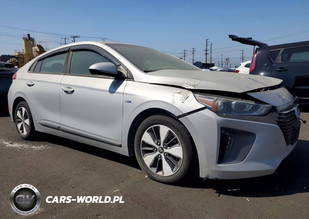 2019 Hyundai Ioniq VIN:KMHC65LD4KU111746 - 4