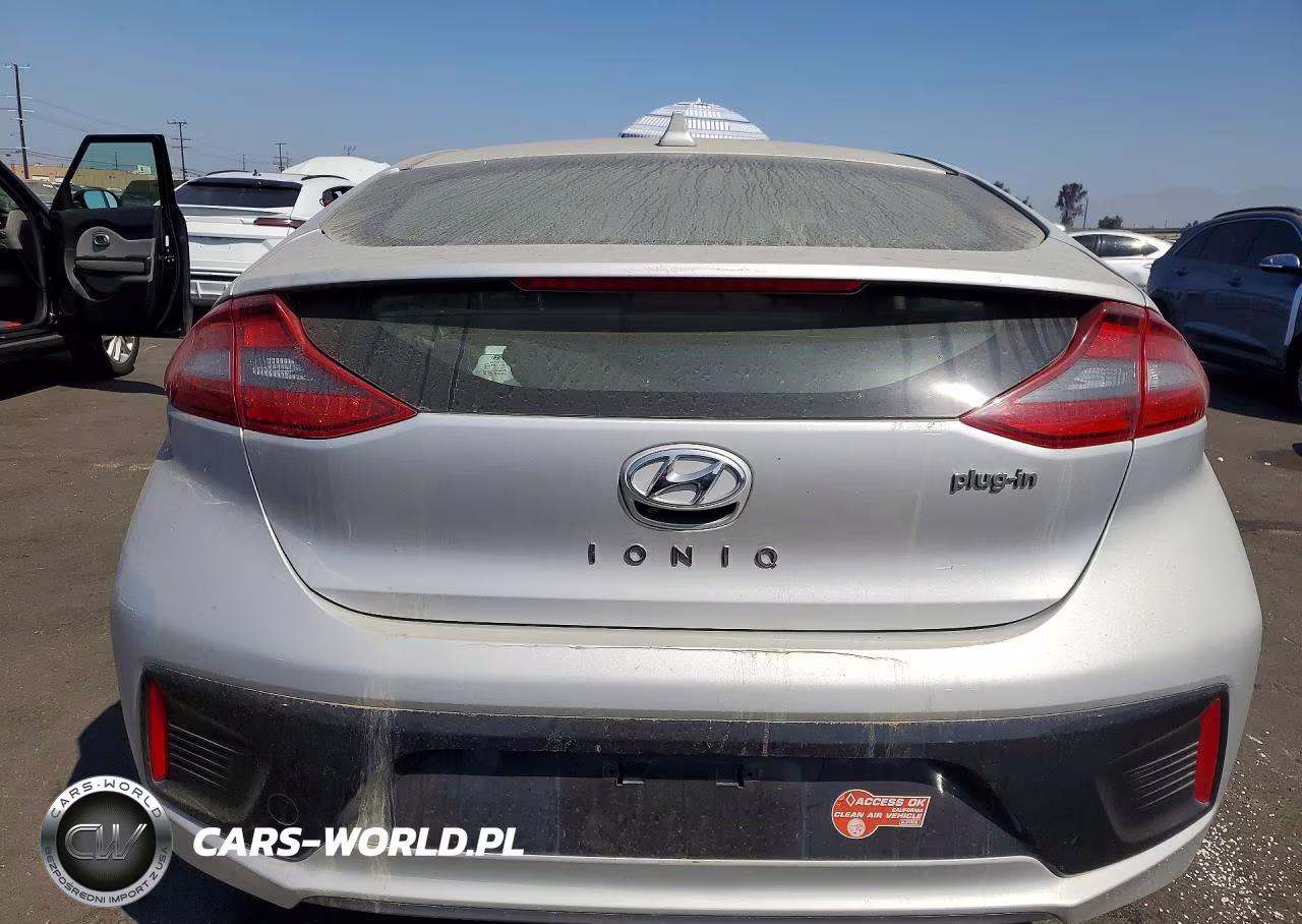 2019 Hyundai Ioniq VIN:KMHC65LD4KU111746 - 6