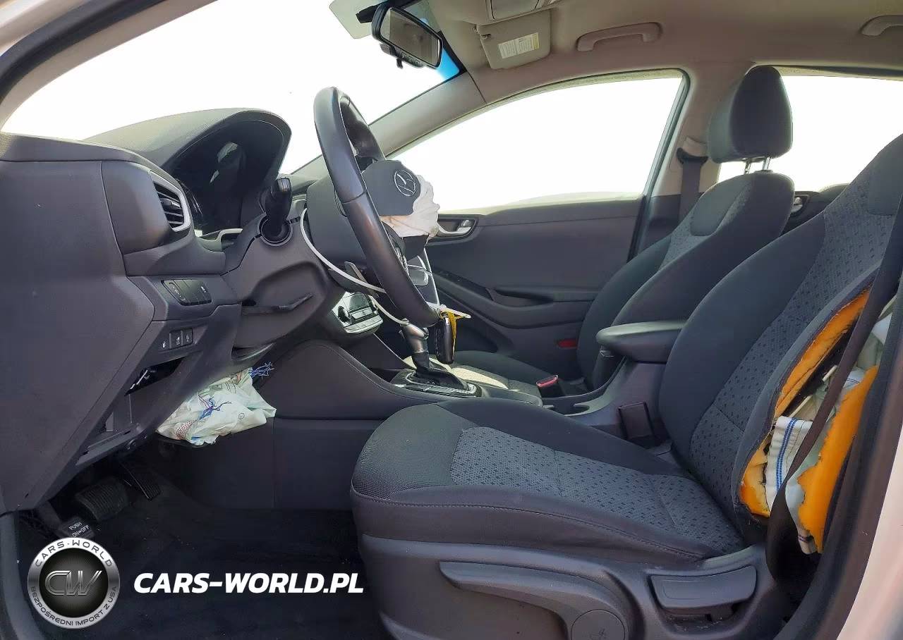 2019 Hyundai Ioniq VIN:KMHC65LD4KU111746 - 7