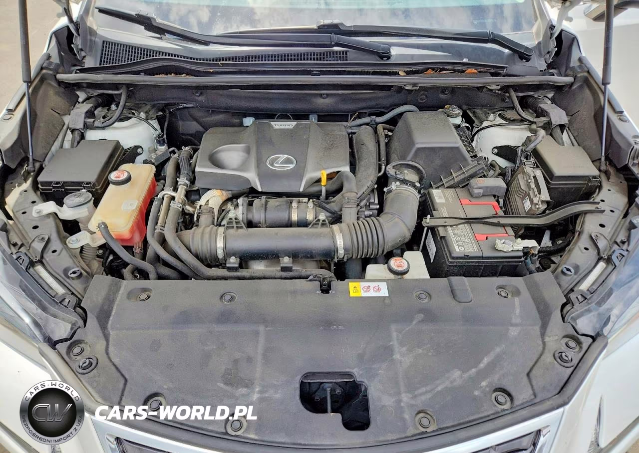 2018 Lexus Nx 300 Base VIN:JTJYARBZXJ2087988 - 12