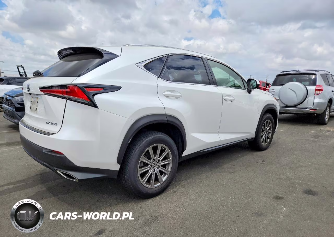 2018 Lexus Nx 300 Base VIN:JTJYARBZXJ2087988 - 3