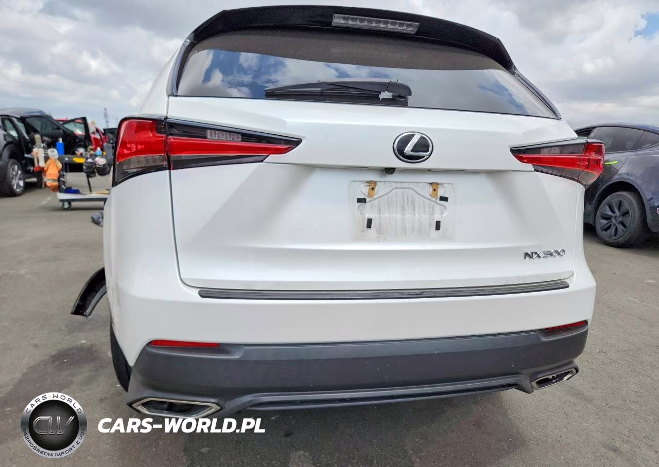 2018 Lexus Nx 300 Base VIN:JTJYARBZXJ2087988 - 6