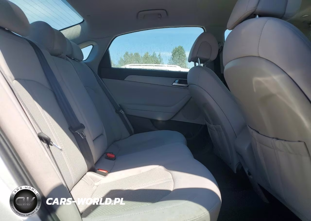 2016 Hyundai Sonata Se VIN:5NPE24AF3GH295277 - 10
