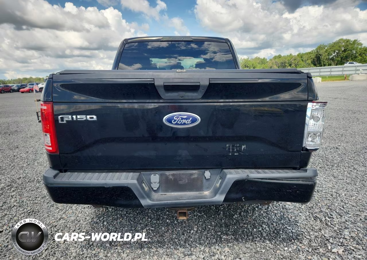 2016 Ford F150 Supercrew VIN:1FTEW1EP3GFD31999 - 6