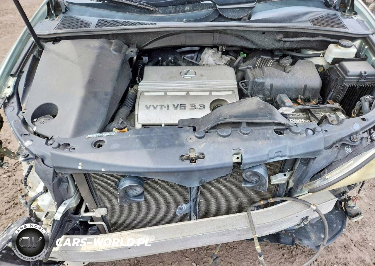 2004 Lexus Rx 330 VIN:2T2HA31U04C018380 - 12
