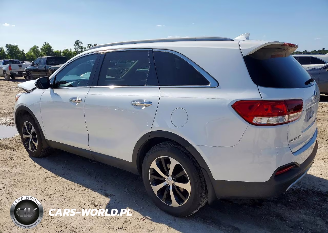 2017 Kia Sorento Ex VIN:5XYPH4A15HG296323 - 2