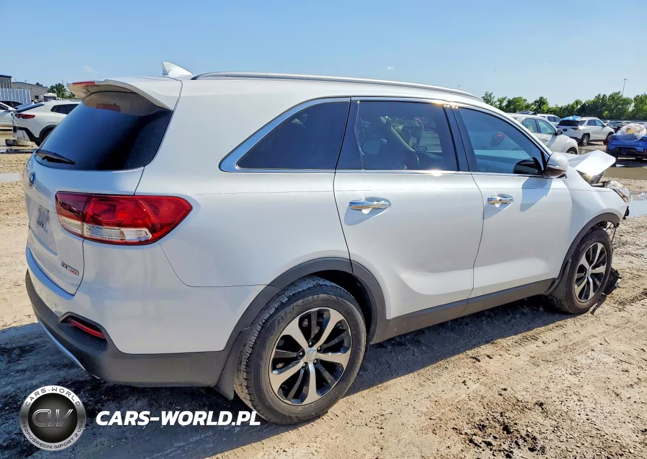 2017 Kia Sorento Ex VIN:5XYPH4A15HG296323 - 3