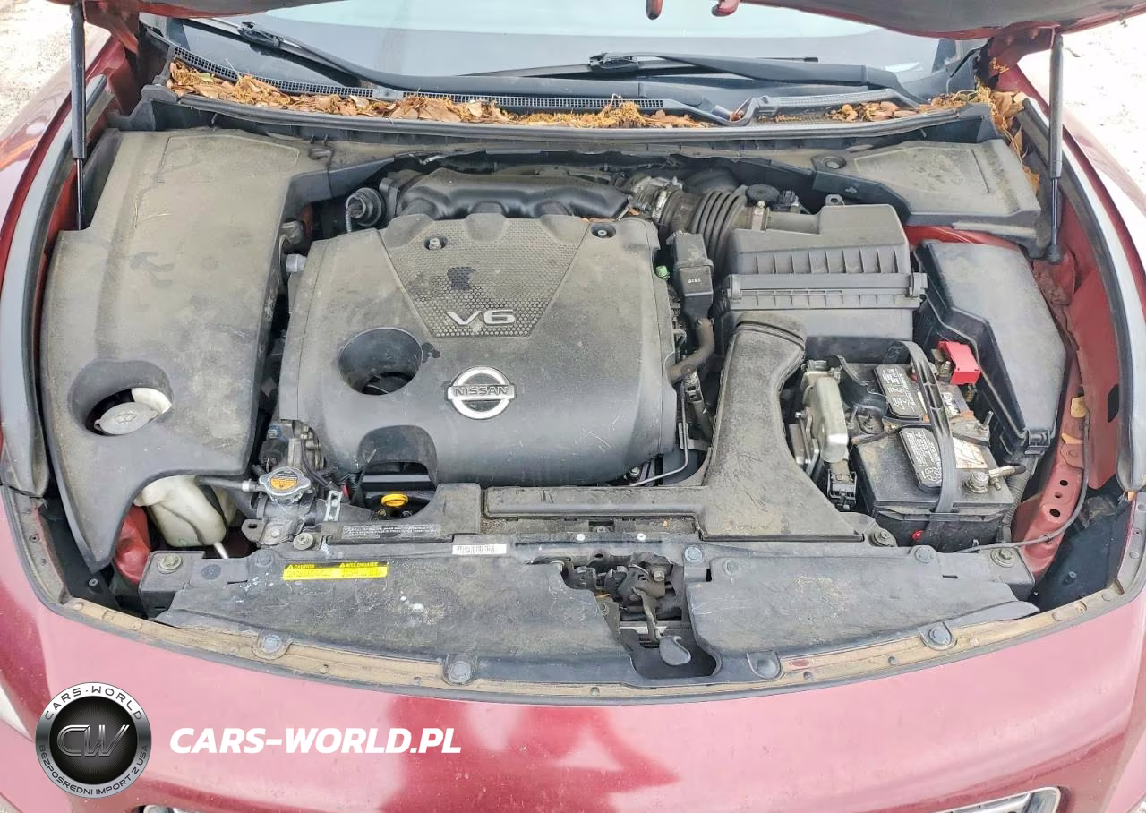 2010 Nissan Maxima 3.5 S VIN:1N4AA5AP8AC804546 - 11